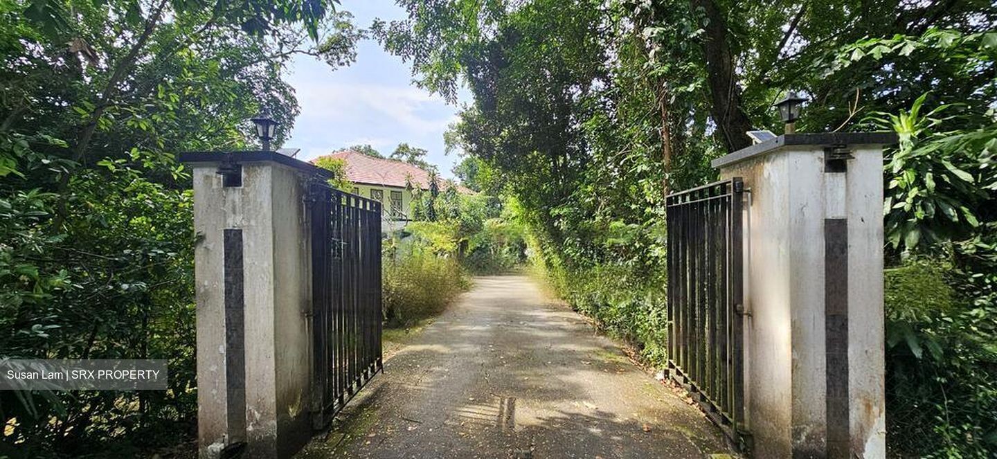 Thomson Road (D11), Detached #485876891